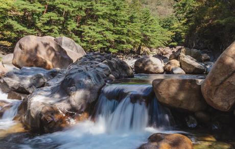 영인산 자연휴양림
